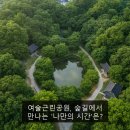 여술근린공원 네이버블로그