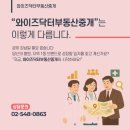 와이즈닥터부동산중개 이미지