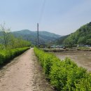 송동민박 이미지