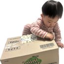 해농 | [육아템후기]17개월유아식_어린이김추천_해농_미니김