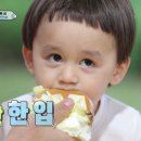 호미스 이미지