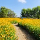 석교마을 주차장 이미지