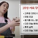 반할제육 이미지