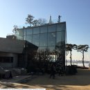 ◆3월25일(일)싱글모임 당일서천여행 마량리동백꽃+쭈꾸미(홍원항)+신성리갈대숲 유기방가옥 봄바다여행 가요 이미지