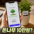 원뱅크 | 케이뱅크 돈나무 현금 10만원 가능할까 현실 후기