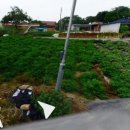 곡성-162 이미지