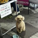 미소꽃방 이미지