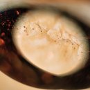 으뜸50안경삼성점 이미지