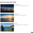 남도카써비스 | 여수 가볼만한곳 베스트10 바다·야경·맛집까지 한 번에 즐기기