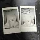 개도사랑펜션 이미지