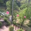 우면산 (대성사 옆) 이미지