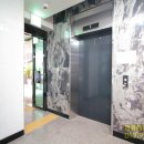 썬펠리스 이미지