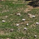 산정목장 1 이미지