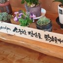 찌아찌아카페