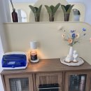 신동-20 | [수원 신동 미용실] 가현하다 모도스 클리닉 후기! 빗질 안 되는 손상모 탈출 성공