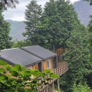 하동편백자연휴양림 이미지