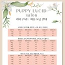 퍼피루시드 이미지