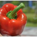 남원역 관광안내소 이미지