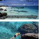 제1회 대한킥복싱협회 무에타이 해외 지도자 연수안내 이미지