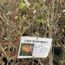 대림가든 이미지