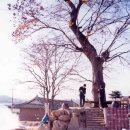 성상1리 이미지