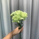 혜인즈블라썸플로리스트화훼학원