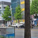 [내돈내산] 탄방동에서 유명한 치즈호떡 + 바로 옆 삼형제김밥 포장해먹은 후기~