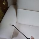 클린프릭 이미지