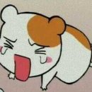 이곳에