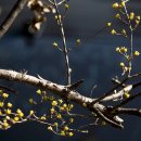 금호동 장미아파트 이미지