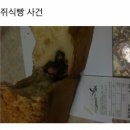 10년 전 파리바게뜨를 망하게 할 뻔한 ＜엽기 쥐식빵 사건＞ 이미지