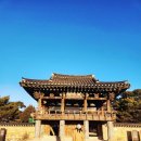 지리산함양시장(쌀전) | 함양여행 코스 추천 산양삼 산업화단지 남계서원