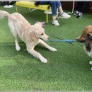 아이조아요양보호소 전남광주점 이미지