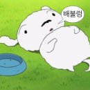 [블챌] 3주차 일상