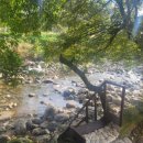 그린에덴펜션 이미지