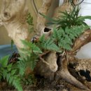 문암가든 이미지