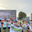 얼티밋 포텐셜짐 | 2025 춘천마라톤 첫 풀코스 도전 후기(목표기록 성공? 실패?)