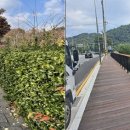 춘향로 이미지