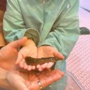 꼼지락 유아미술 이미지