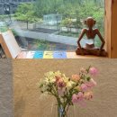 April 학원 | [운동일지] April 2025 요가 - 새벽요가 후기