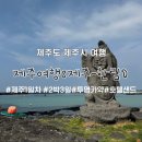 제주도여행 꽉찬 2박3일 (1) 협제스테이 호텔 후기 호텔샌드 투명카약 올레수산