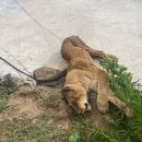 이창재 농장 아이뉴스24