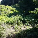 행자농장 이미지