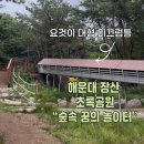 숲속어린이공원 | 해운대 장산 반여동 초록공원 내 숲속 꿈의 놀이터 방문 후기 feat.롤러 슬라이드 대형 미끄럼틀