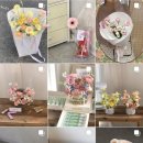 로지마이포지 이미지