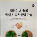 샐러디신대방삼거리역점 이미지