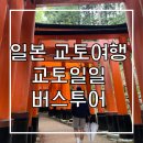 [일본 오사카여행 3일차] 오사카 교토 버스투어 당일치기 알차게 다녀오기