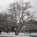 관음사(야영장) 이미지