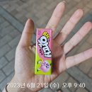 씨유서초다우점 네이버블로그