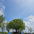 250420 제 3회 아산 이순신 백의종군길 마라톤 대회 하프(half) 후기
